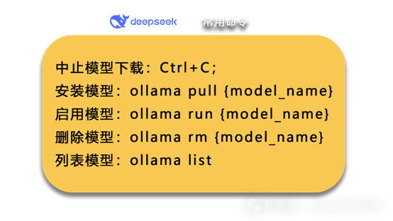 68410ff600fec.png
